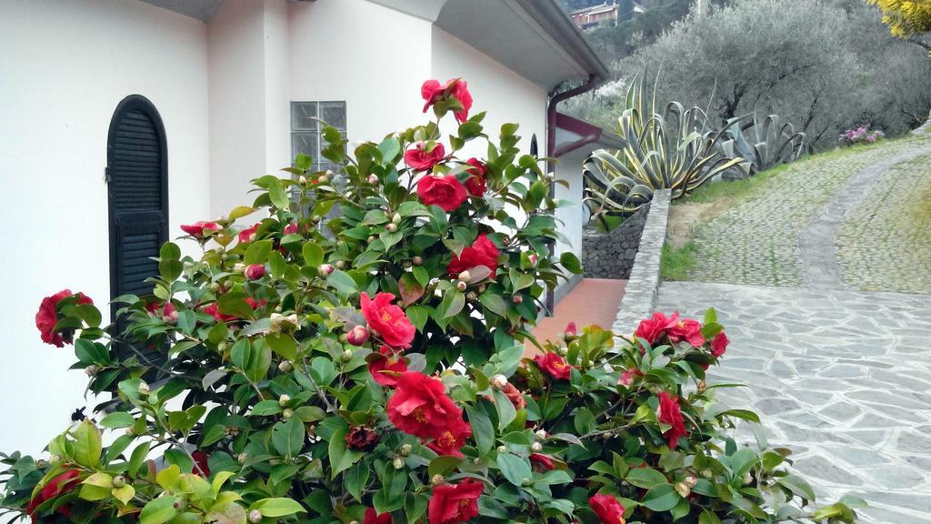 Villa Il Pettirosso La Spezia Pokój zdjęcie